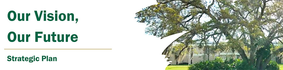 Our Vision, Our Future, Strategic Plan