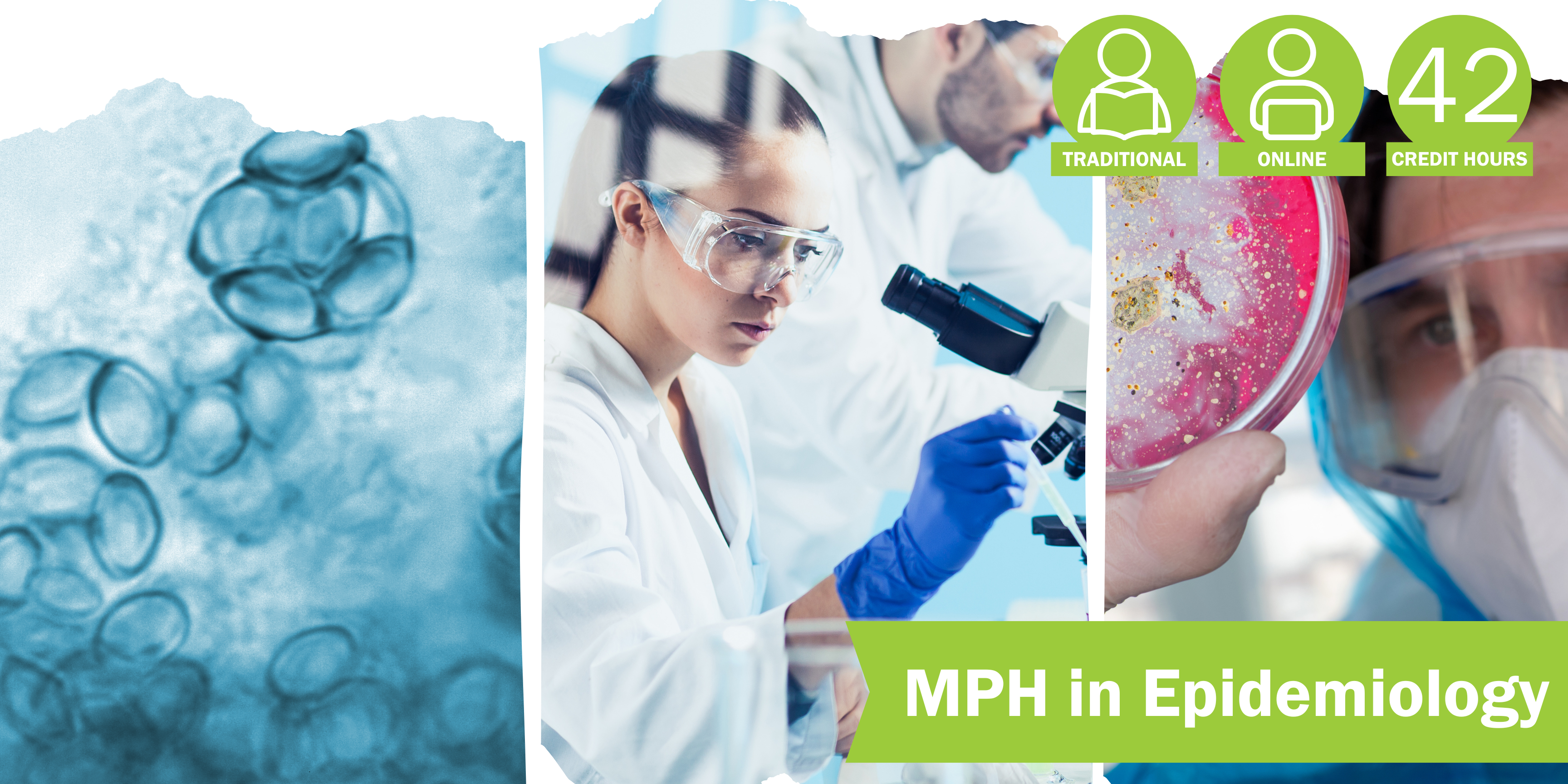 A collage of three decorative images depicting epidemiology with the title "MPH in Epidemiology” and text "Traditional" and “Online” course format and "42 credit hours".