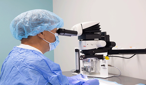 rotating images of rodent transplant facility