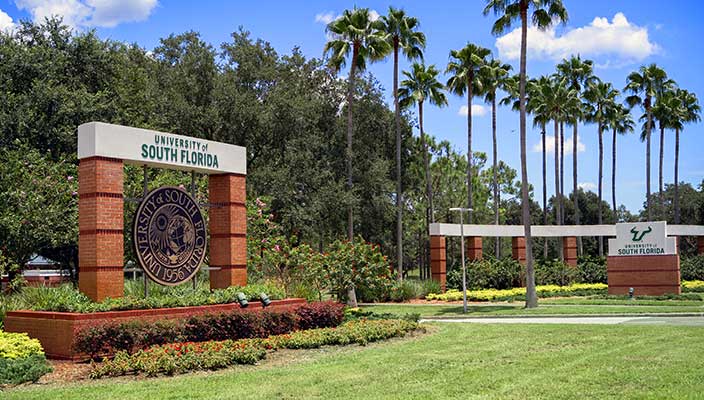 Why USF?
