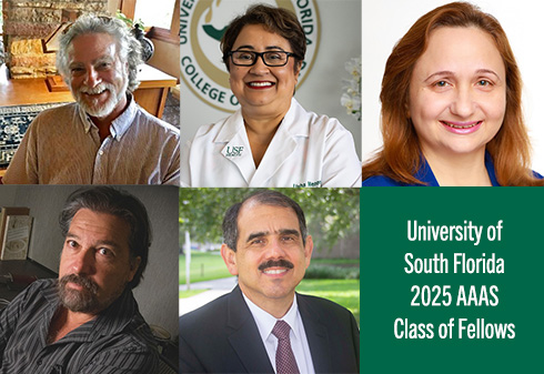 A graphic showing the Five USF faculty named 2025 fellows of American Association for the Advancement of Science