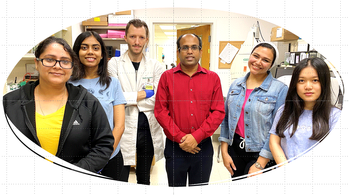Biswal Lab