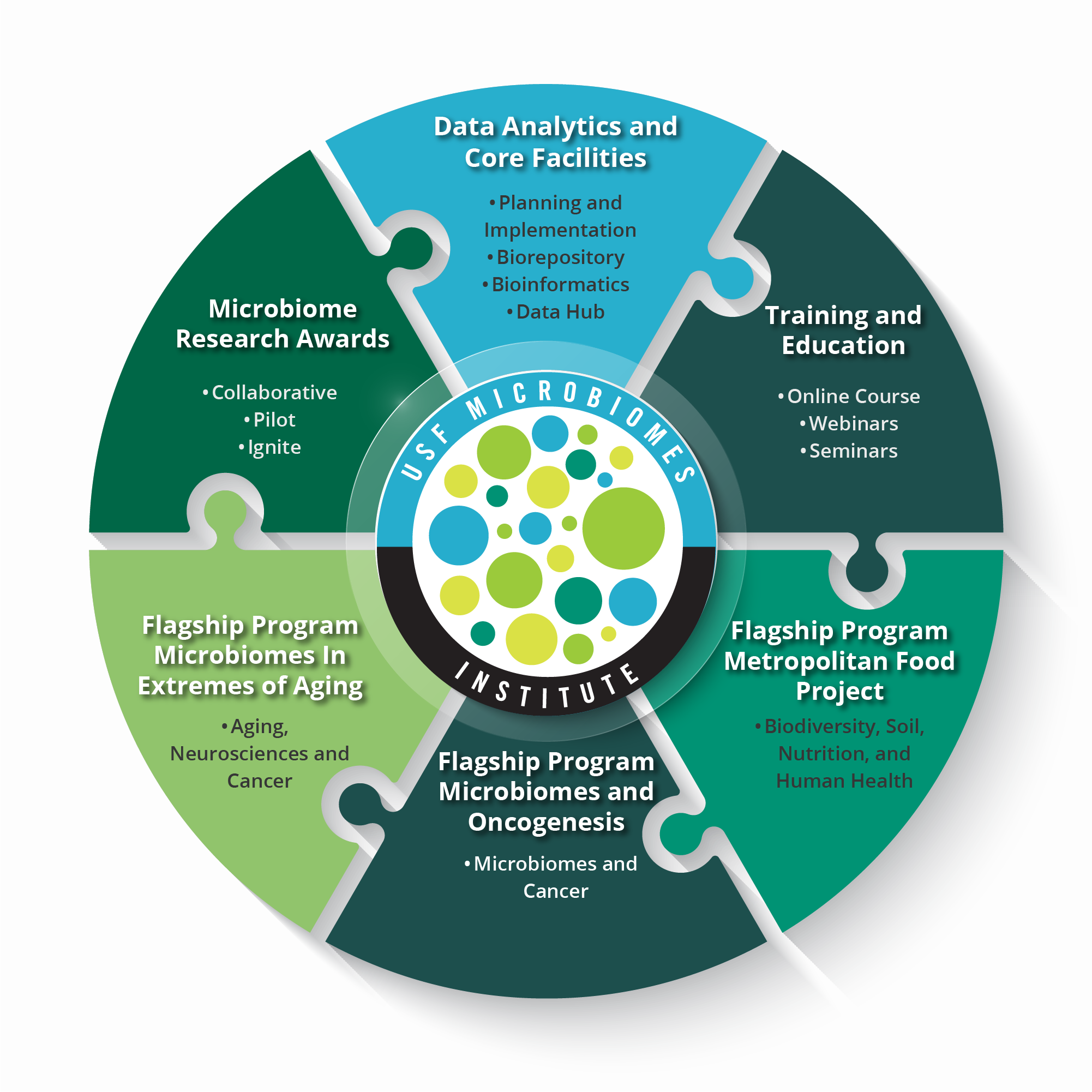  Circular puzzle‑style infographic illustrating the six interconnected focus areas of the USF Microbiomes Institute.