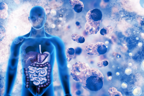 A graphic of the human body surrounded by different cells