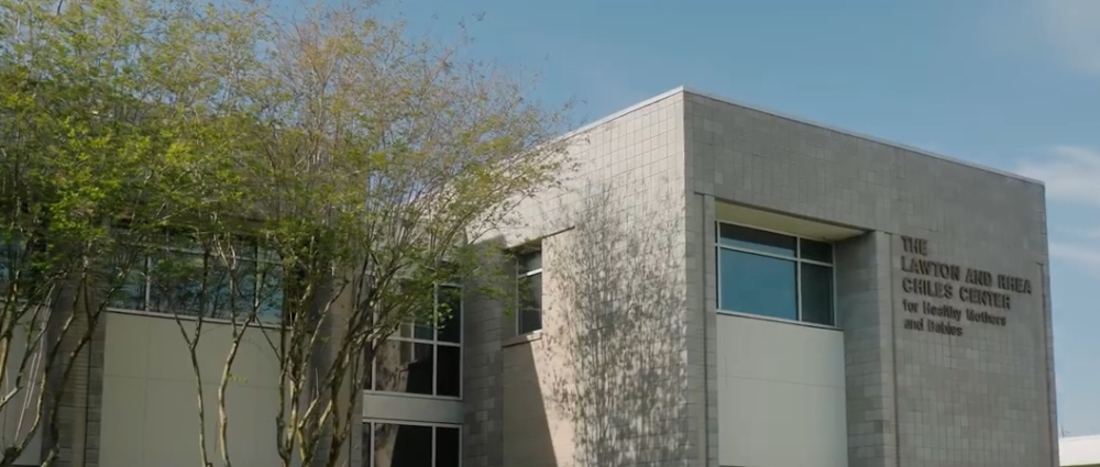 USF COPH Chiles Centers