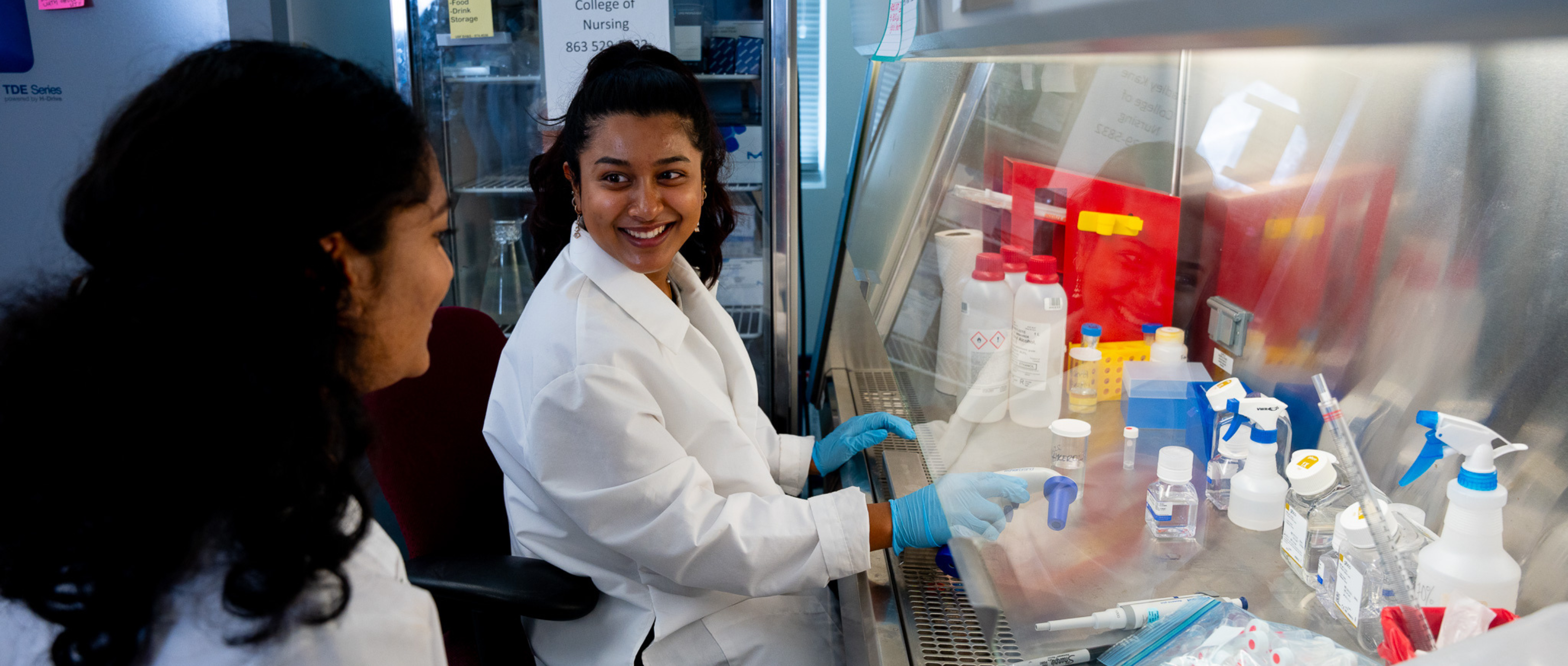 Undergraduate Research