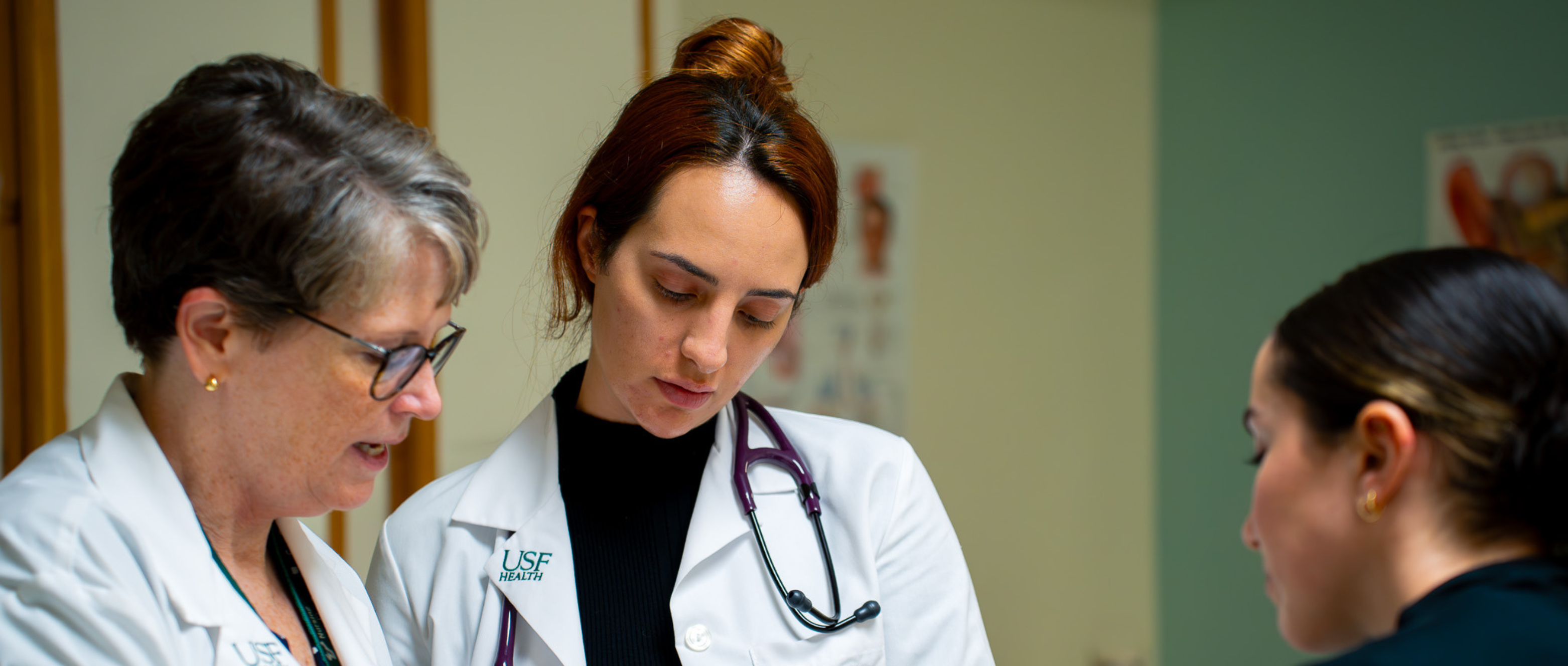 Preceptorship 