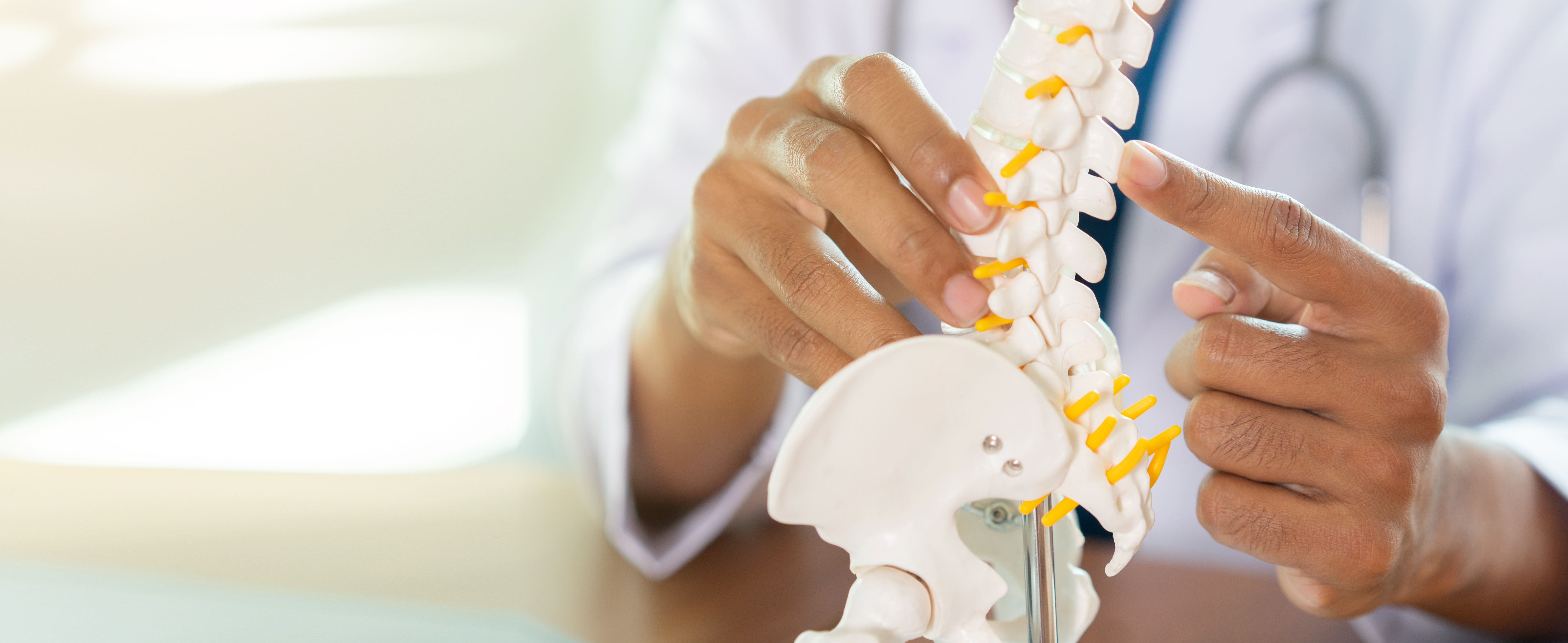  Spine Teaching Image 