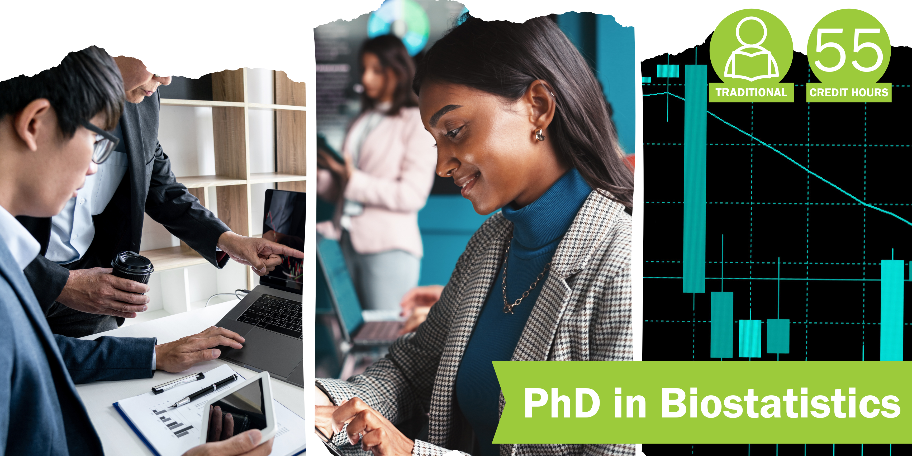 A collage of three decorative images depicting biostatistics with the title “PhD in Biostatistics” and text “Traditional” course format and “55 credit hours".