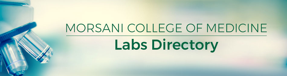 Morsani College of Medicine Labs Directory