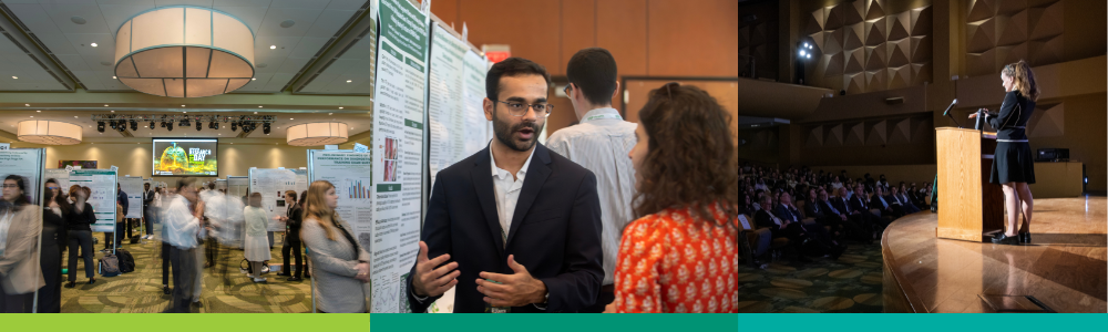 A collage of three images from the 2025 Research Day depicting students, faculty, and staff engaging with each other.