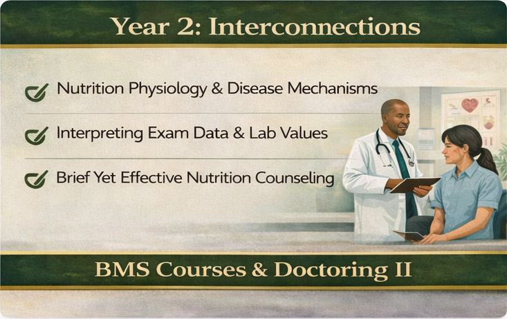 Year 2: Interconnections