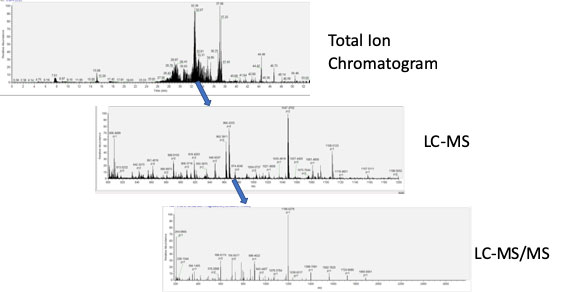 Proteomics Mass Spectrometer Scans