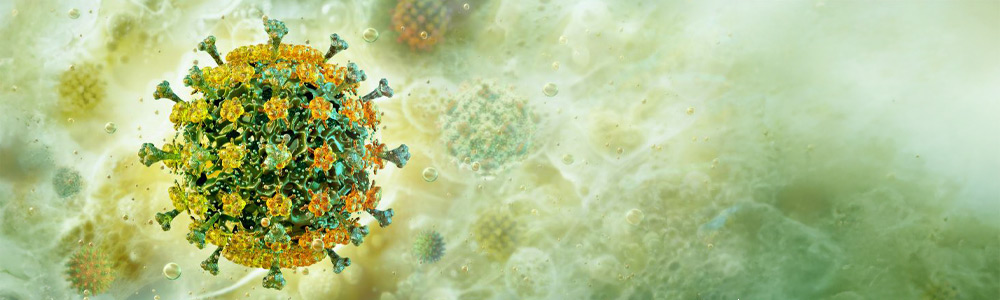 Virus illustration