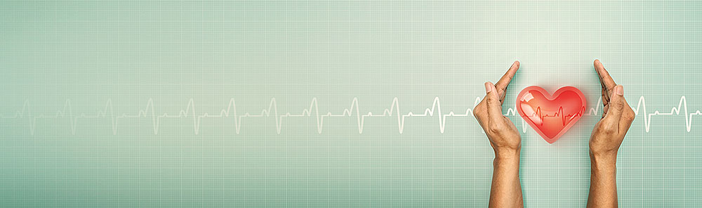 USF Health Division of Cardiovascular Sciences