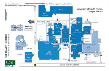 USF Health Tampa map