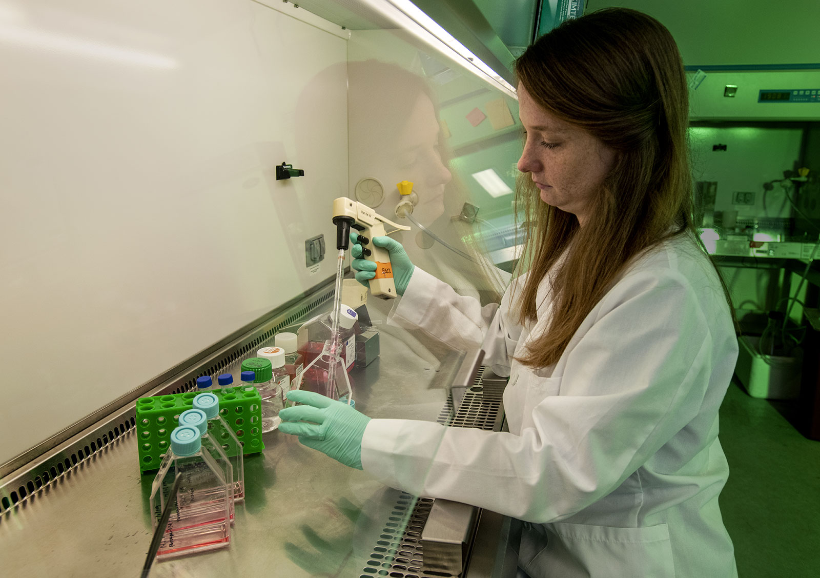 A scientist working under a fume hood in a laboratory is using a pipet to put a pink liquid into a container. She is wearing a white lab coat and green gloves. There is additional equipment under the fume hood. 