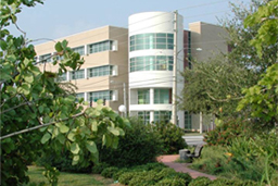 Children's Research Institute