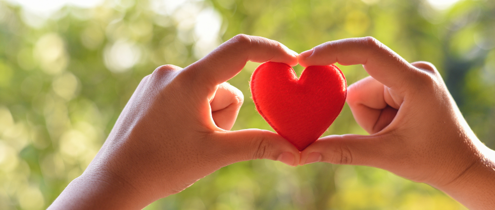 Two hands holding a red heart