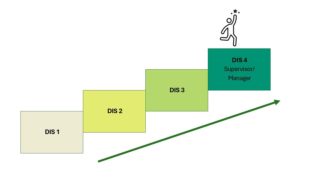 DISTA Career Ladder