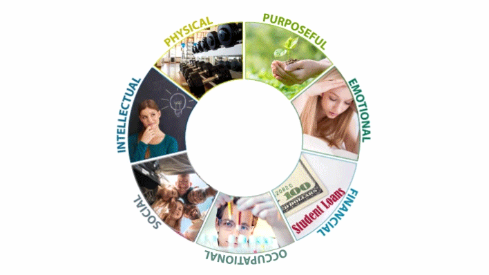 Center for Transdisciplinary Research