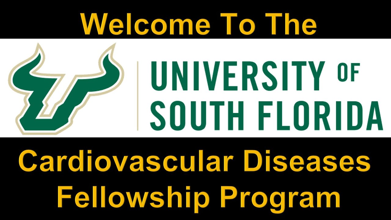 Cardiovascular Disease Fellowship Program