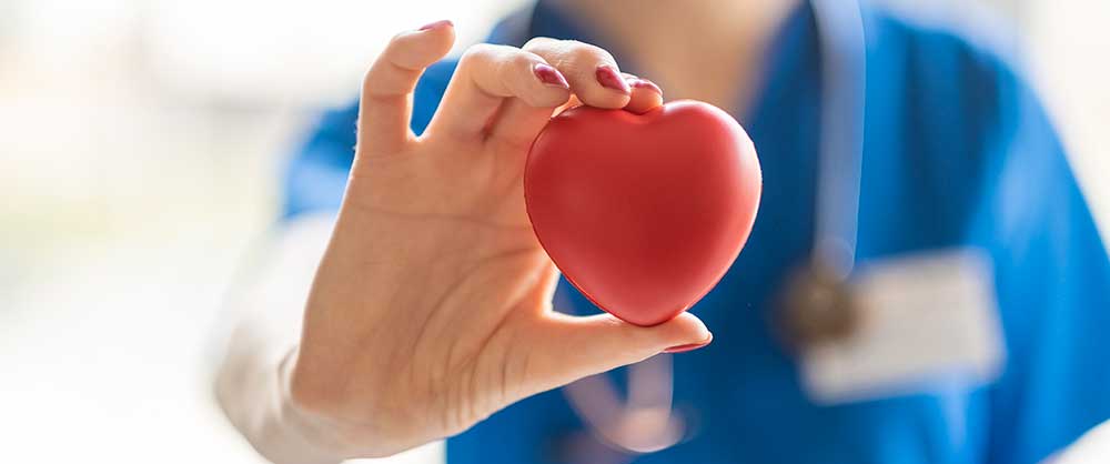 Cardiovascular Disease Fellowship Program