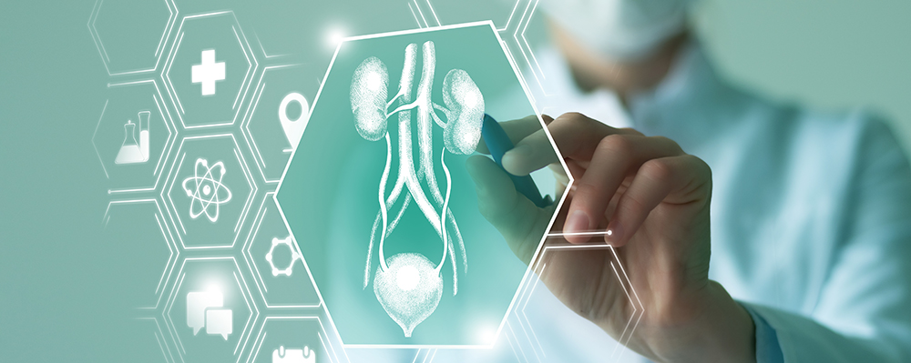 Nephrology & Hypertension