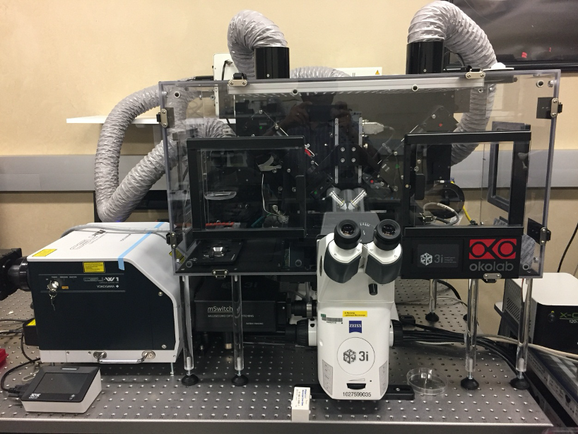 3i Marianas Lightsheet Microscope