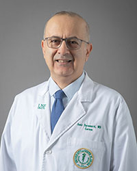 Amir Faramarzi