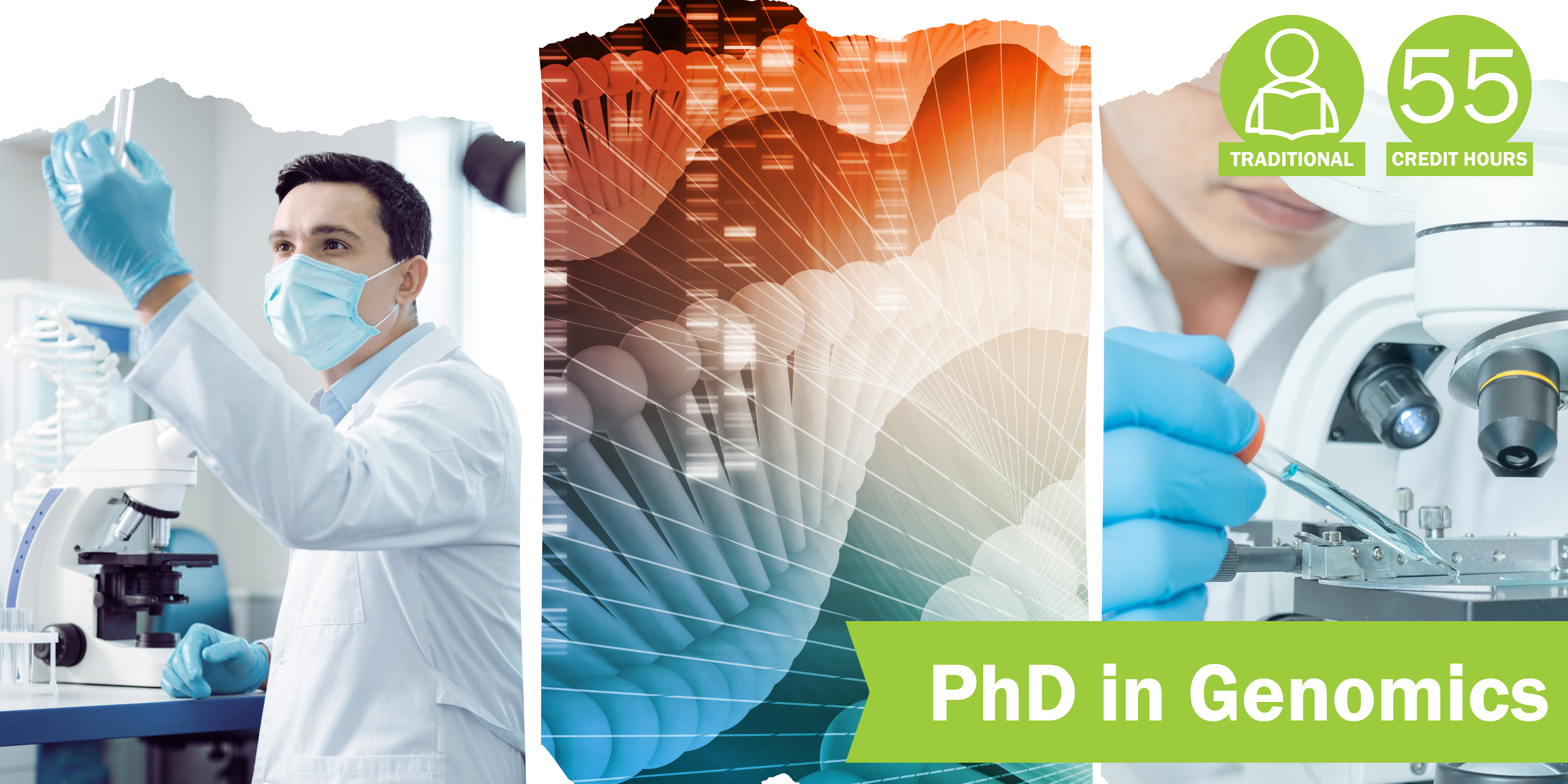 A collage of three decorative images depicting genomics with the title “PhD in Genomics” and text “Traditional” course format and “55 credit hours".