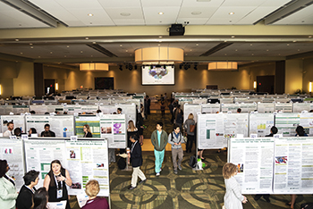 USF Research Day room