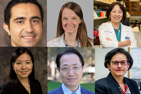Photograph collage featuring six professional headshots arranged in two rows of three, showcasing individuals in various professional attire