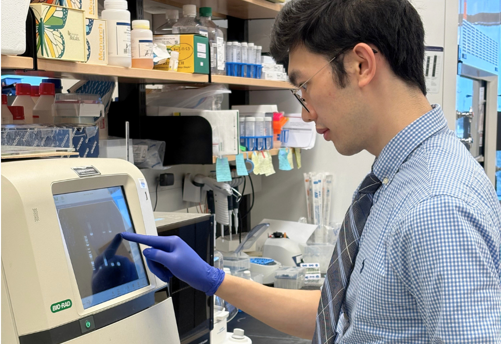 MD/PhD student Vincent Lok is working in a laboratory. He is wearing blue exam gloves and a button down shirt and tie He is using a machine to check for successful DNA recombination