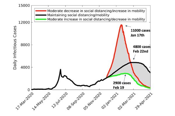 infection rates chart