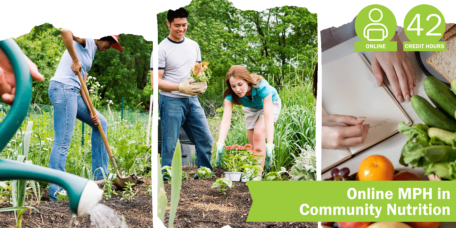 A collage of three decorative images depicting community nutrition with the title “Online MPH in Community Tradition” and text “Online” course format and “42 credit hours".