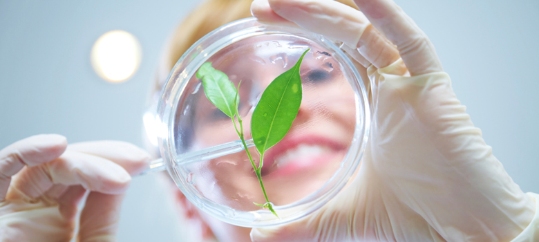 Center for Environmental/Occupational Risk Analysis & Management