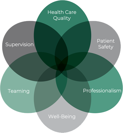 Clinical Learning Environment domains