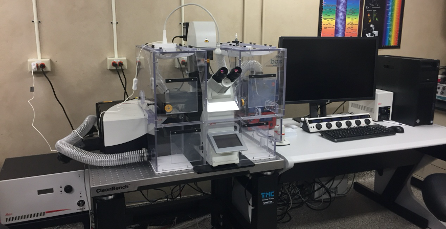 Leica SP8 Laser Confocal Microscope