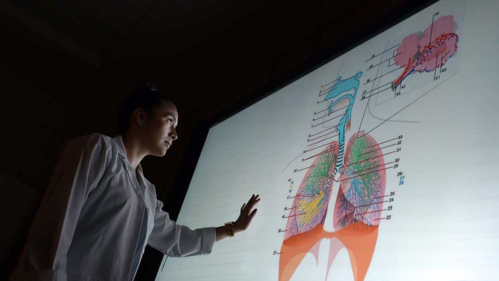 medical student viewing large color illustration of respiratory organs