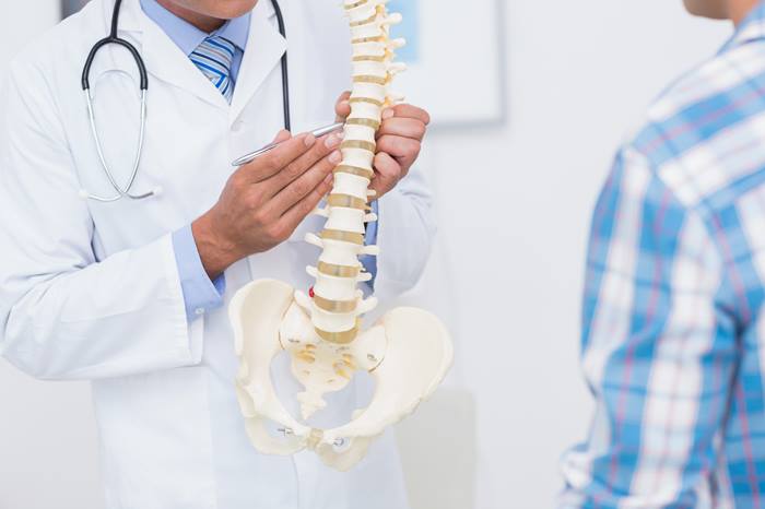 Chiropractic Division