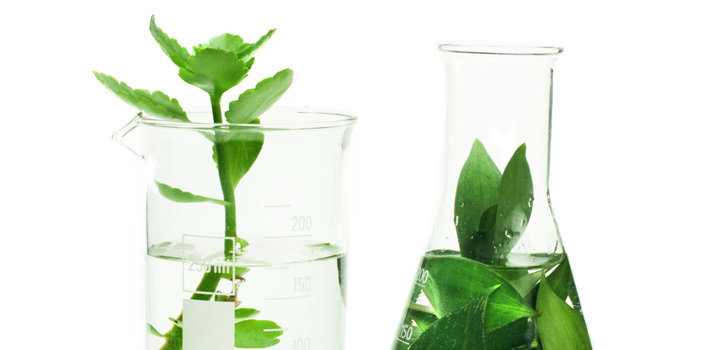 Investigator Initiated Studies