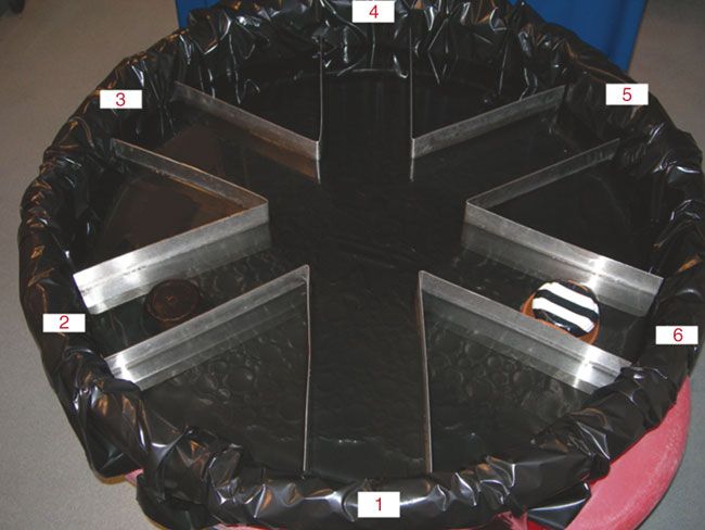 Radial arm water maze