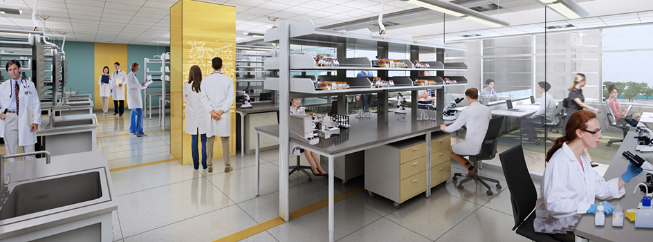 USF Health Heart Institute research lab at Water Street Tampa