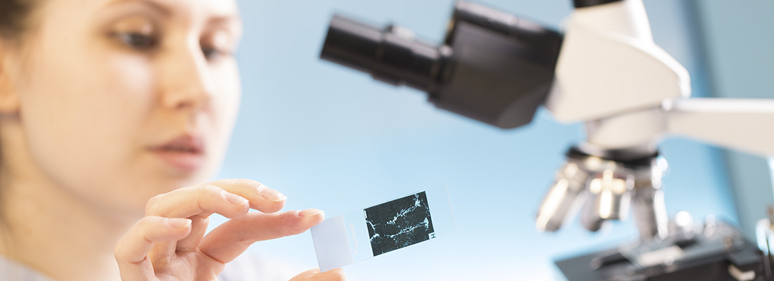 pathologist reading slide