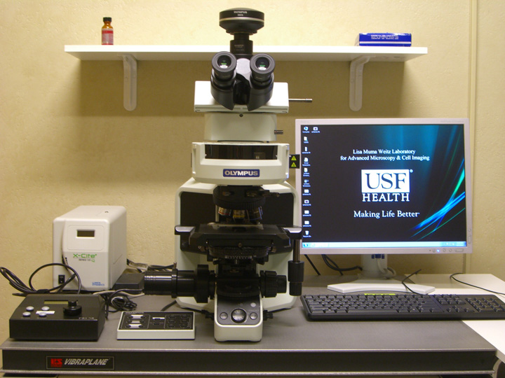 Olympus BX53 Digital Fluorescence Microscope USF Health